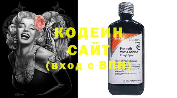 индика Апатиты