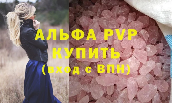 индика Апатиты