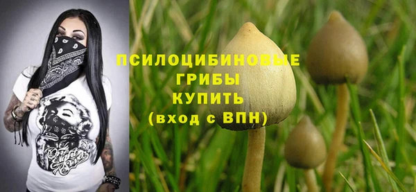 герыч Нягань